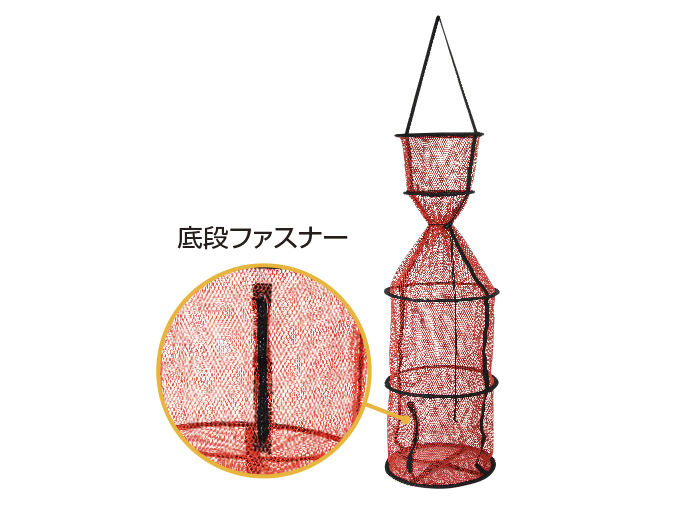 タコスカリ
