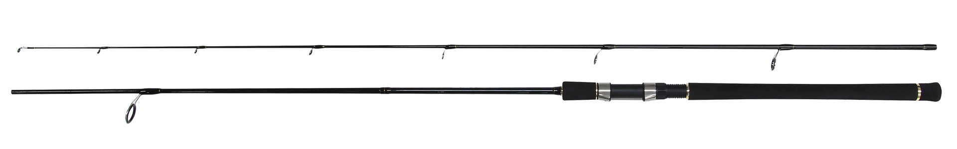 ソルトイグザスFG